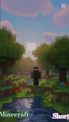 Minecraft Entity's, Entity303, Entity 404, Entity001, Entity707