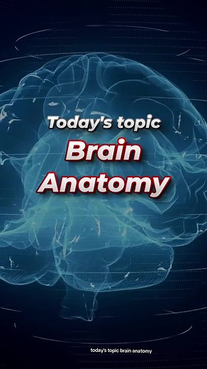 🧠 Brain Anatomy Quiz! 🤔 Only GENIUSES can get 3/5 🩺 This medical quiz is perfect if you are studying these as part of biology or medicine: neurology, neuroscience, neurosurgery, brain science, neuroanatomy, neurophysiology Medical students, pre-med, GCSE biology and A-level biology students will benefit, as well as those studying for medical entrance exams such as NEET aspirants, UCAT or BMAT. This medical quiz may be useful to understand your body if you are interested in: fitness, health an