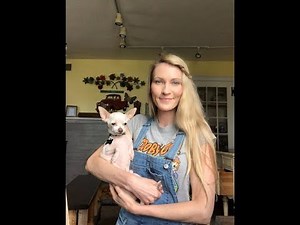 How To Clean Hardware With Brasso