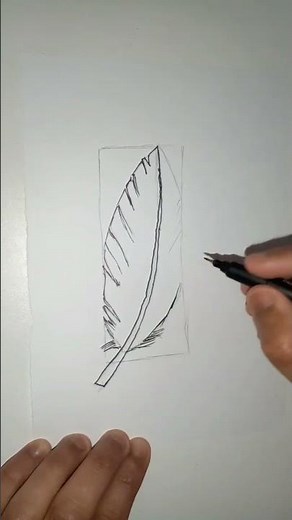 Como Dibujar una Pluma Fácil Paso a Paso
