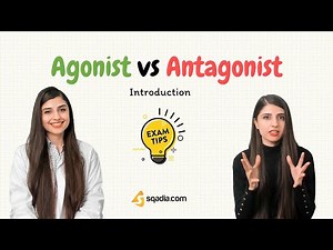 Agonist vs Antagonist | Drug Receptor Affinity | Neurotransmitter | Introduction