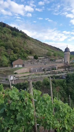 Zell an der Mosel on Reels
