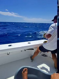 Ascension Island - Bad Company released 3 Blue Marlin (800,700,600). | Billfish Report