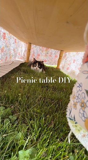 DIY Picnic Table Build + Outdoor Setup for Customers | Start to Finish