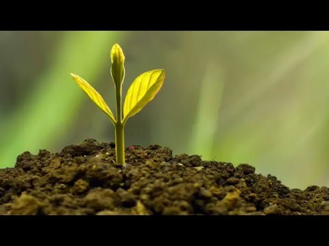 MY TIME (L&D Storyline Explainer)