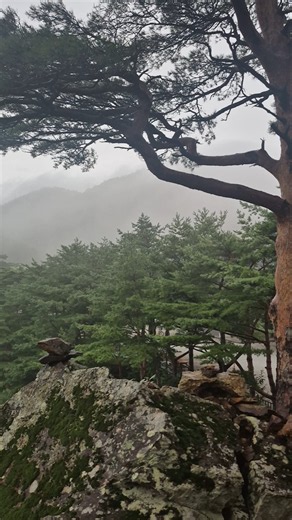 울진 불영계곡 #nature #불영계곡