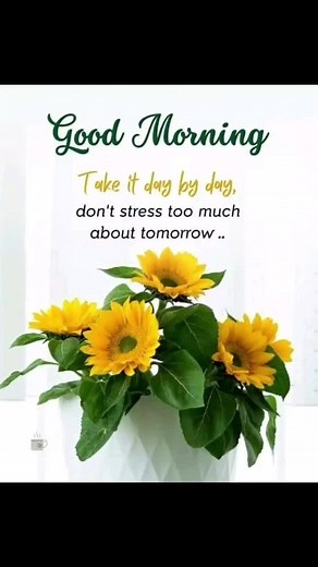 Inspirational Quotes to Brighten Your Tuesday