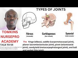 TYPES OF JOINTS-Fibrous, Cartilaginous , Synovial, synarthrosis, amphiarthrosis and , Diarthrosis