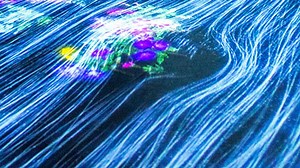 How machine learning is quietly reshaping your business