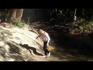 Woman falls off rope swing into creek while fully clothed