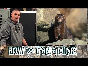 TRAPPERS Tan Your Hide DIY Fur Tanning COMPLETE Process Part 1