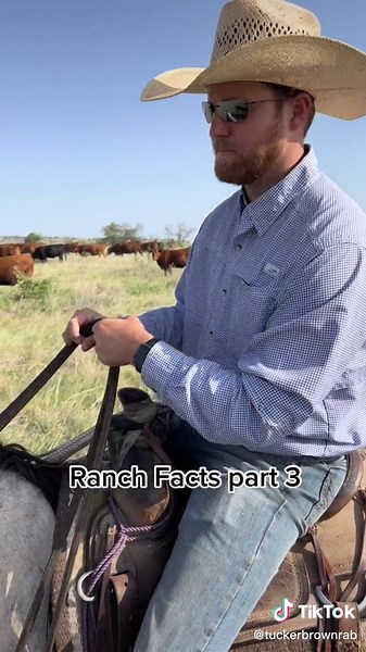 US Beef Production: Efficient & Sustainable