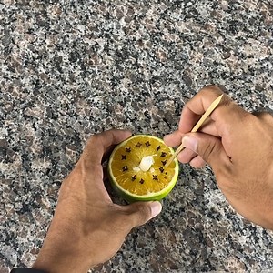 This leaves your home smelling good, free of flies and mosquitoes and spending next to nothing | Tips and Tricks