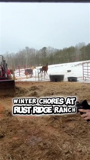 Rust Ridge Ranch LLC on Instagram: "Cold weather. Old equipment. Ranch chores that don’t wait ❄️ I just posted a full 17-minute YouTube video showing winter prep at Rust Ridge Ranch — from feeding horses and rolling hay to fixing equipment before the snow sets in. If you enjoy real, unfiltered ranch life… 🎥 Go watch it on my YouTube channel 👉 Link in bio 🤍 Thank you for supporting this journey"