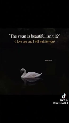 Strangle -Golden Brown meaning