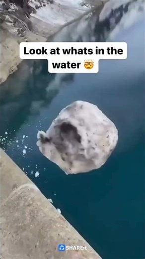 No extra apps needed—extract ZIP files instantly with SHAREit’s built-in Zip Extractor. 🚀