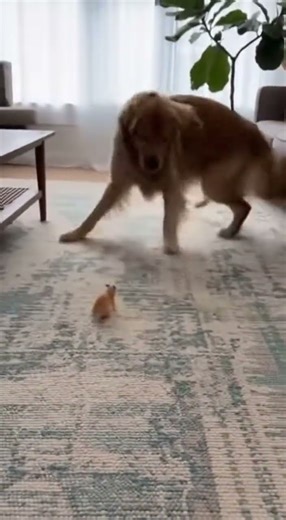 👀 I Went LIVE From Home – What Happened Next!