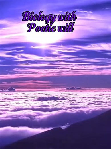 Biology and Emotion: The Science of Love