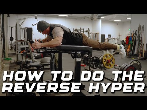 How to Use the Reverse Hyper Correctly (Most People Do It Wrong)