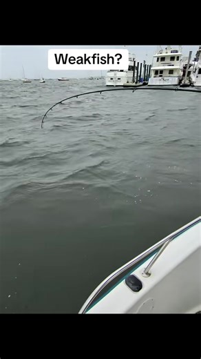 Vinny and I braved tretchurous winds and ended up staying in the harbor after braving past the seawall and catching nothing. #weakfish #trout #saltwater #hurricane #outdoorsman