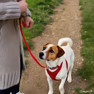 27K views · 75 reactions | 3D Crochet Rose Keychain Pattern PDF, Handmade Floral Bag Charm: https://handtrendy.com/products/3d-crochet-rose-keychain-pattern-pdf-handmade-floral-bag-charm-amigurumi-flower-keyring-diy-cute-gift-idea-instant-download | Knitting & Crochet World | Facebook