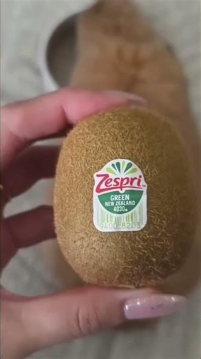 Watch These Cute Bunnies Perform Amazing Tricks! #shorts