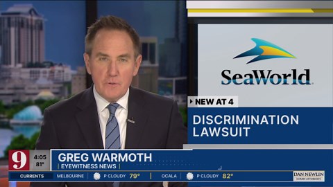 DOJ launches investigation into SeaWorld Orlando and others for disability discrimination