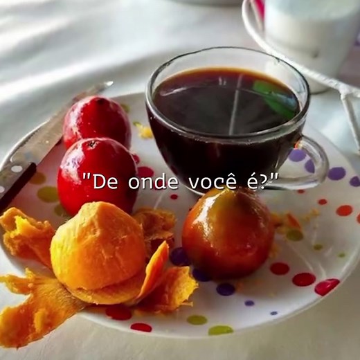 Descubra a Origem Paraense: De Onde Você É?