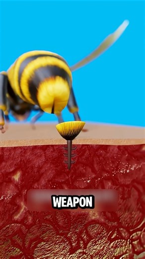 What If a Bee Stings You? 🐝