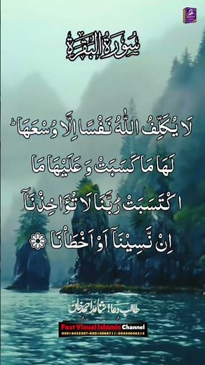 Surah Al-Baqarah سورة البقرة #tilawat #alquran #viralvideo #islamicproductions #shorts