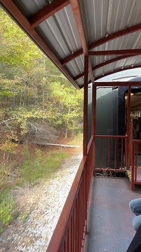 36K views · 1.1K reactions | Perfect way to kickoff November! A train ride with the family on the Heart of Dixie Railroad! #trains | Wes Wyatt WBRC | Facebook