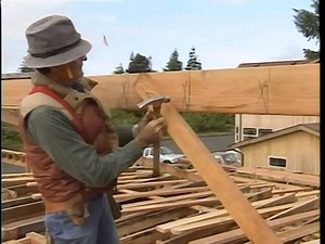 Larry Haun: Human Nail Gun