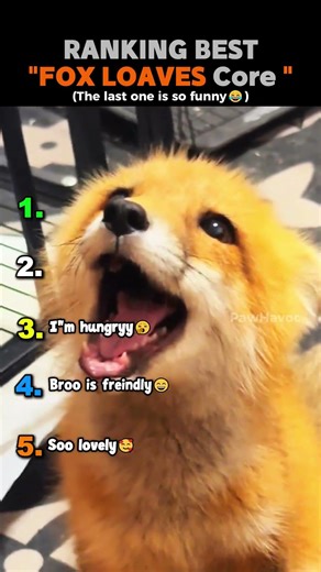 Ranking Best FOX LOAVES Core Moments!! 🦊💢