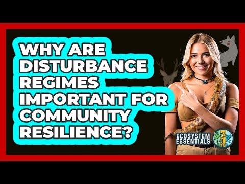 Why Are Disturbance Regimes Important For Community Resilience? - Ecosystem Essentials