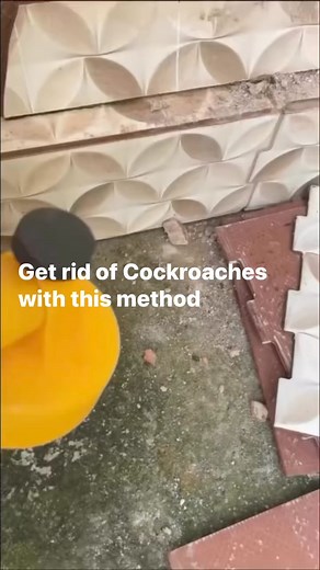 Get rid of Cockroaches with this method #cockroach #Insecticide #insects | Tadekun Tadekun