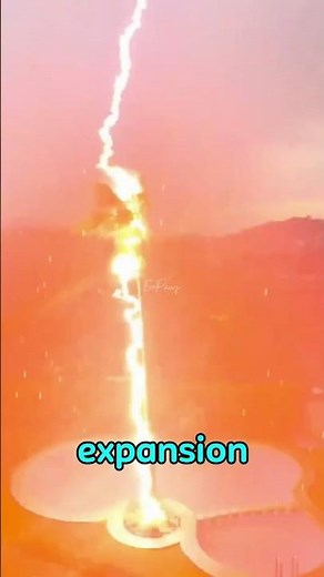 The Shocking Reason Trees Crack During Storms