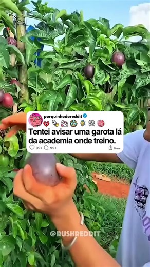 Histórias Bizarras da Academia: Parte 2