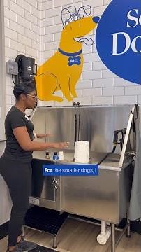 Self-serve dog wash tour! 👀