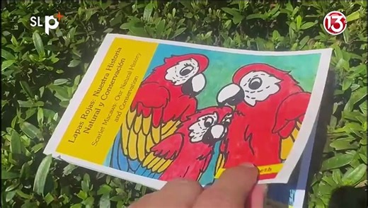 SLP Martes 20 enero nota  Concurso Lapa Roja
