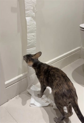 Happy Tuesday Motivation for a Productive Day