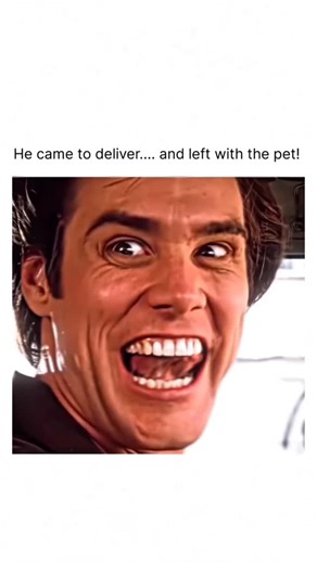 MR SHAHRUKH 👑 on Instagram: "🔔 Follow @mrshahrukhtk1 for more high-octane cinematic reels. Ace Ventura: Pet Detective (1994) is a slapstick comedy starring Jim Carrey as Ace Ventura a bizarre yet brilliant private detective who specializes in finding missing animals. When the Miami Dolphins mascot dolphin Snowflake is kidnapped just before the Super Bowl Ace is hired to crack the case. What follows is a series of outrageous disguises absurd humor and unexpected twists. Ace Ventura is an eccent