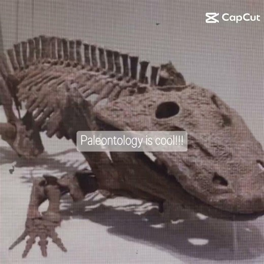 Paleontology