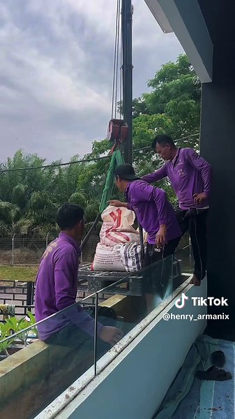 #gardening #landscaping #homegarden #花园改造 #庭院设计