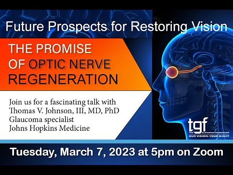 Prospects for Restoring Vision in Patients with Glaucoma: The Promise of Optic Nerve Regeneration