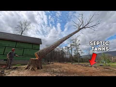 I am a terrible timber faller