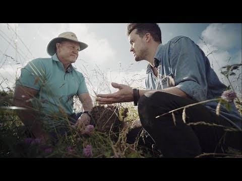 A Regenerative Secret