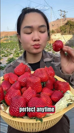 Top 5 Tastiest Fruits in the World 🍓🥭🍍 (You Need to Try #1!)