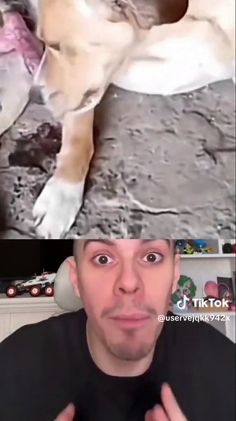 Exploring the Impact of Reportage in Modern Media