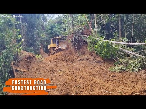 Fastest Road Construction CAT Dozer on Works at Rain Forest