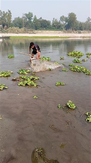 Small Taki Fishing” #birdfish